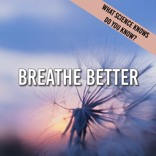 Breathe Better: How Breathing Shapes Digestion, Hormones, Focus and Recovery